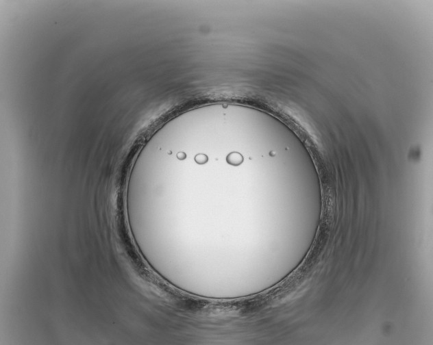 X0000095120491200712070946