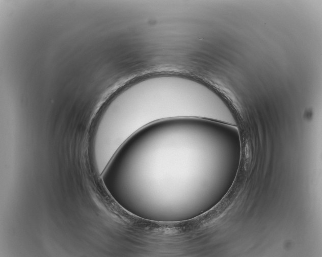 X0000095120492200712070946
