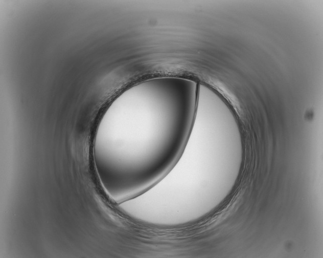 X0000095120493200712070946