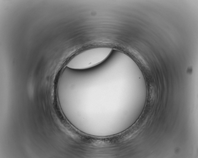 X0000095120494200712070946