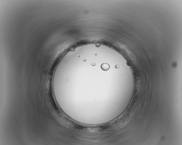X0000095120495200712070946