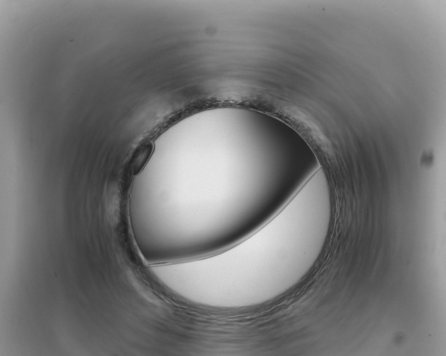 X0000095120496200712070946