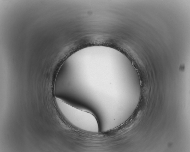 X0000095120497200712070946