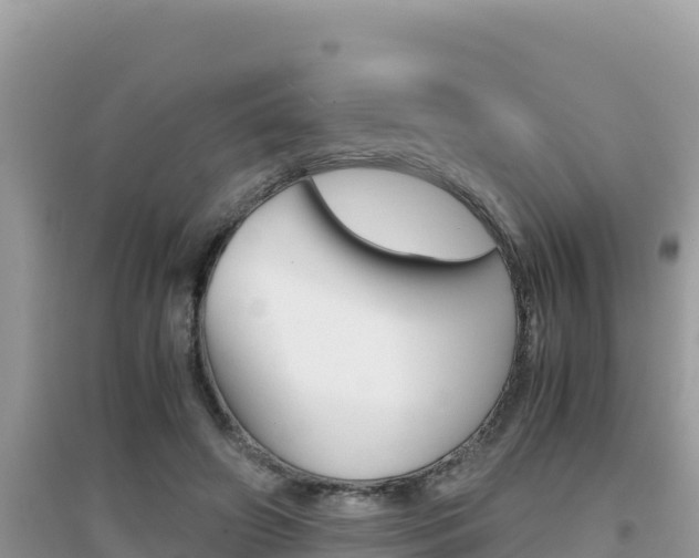 X0000095120498200712070946