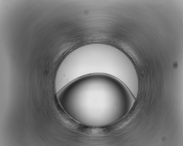 X0000095120501200712070946