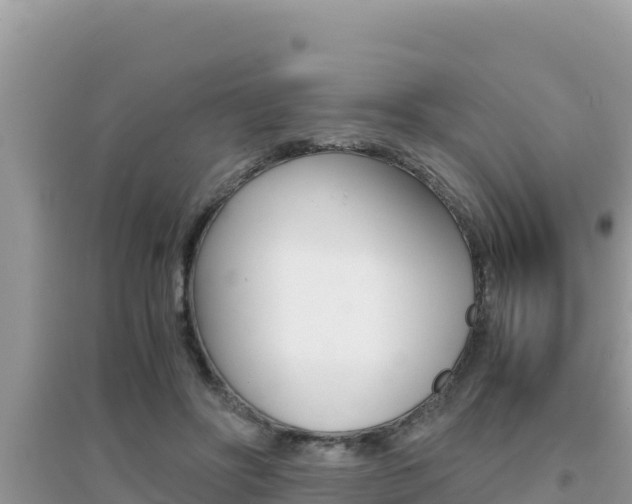 X0000095120502200712070946