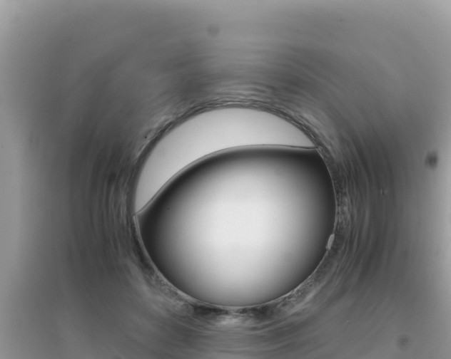 X0000095120504200712070946