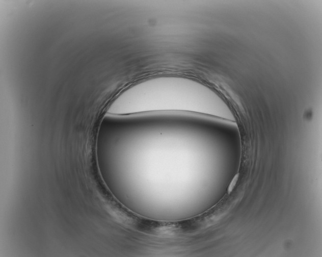 X0000095120505200712070946