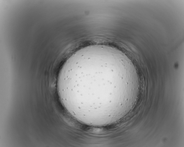 X0000095120507200712070946