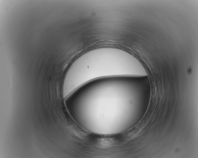 X0000095120508200712070946