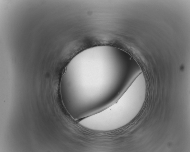 X0000095120509200712070946