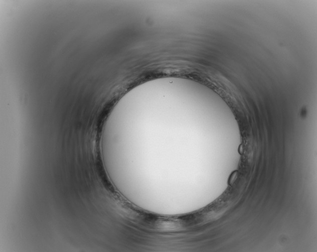 X0000095120510200712070946