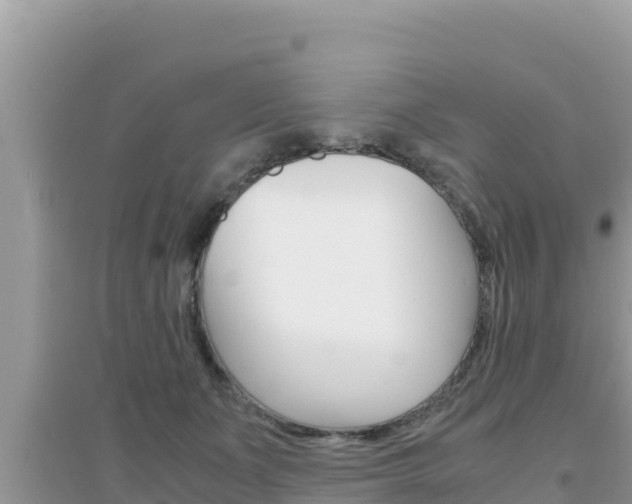 X0000095120511200712070946