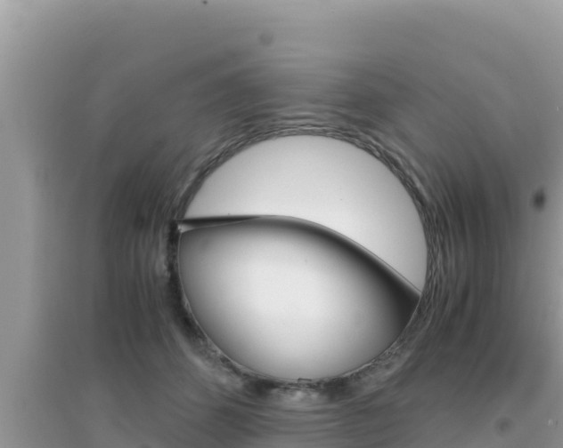 X0000095120512200712070946