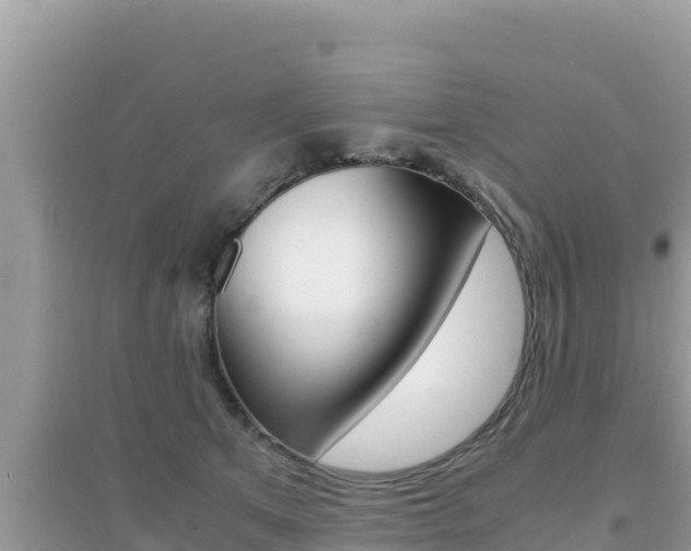 X0000095120513200712070946