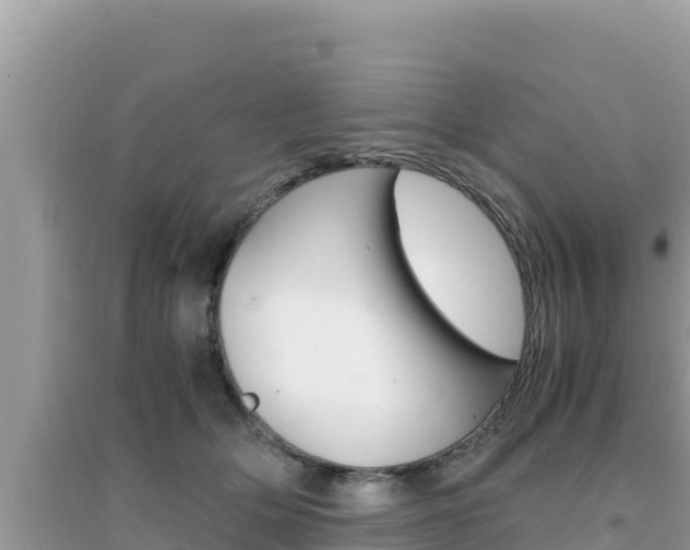 X0000095120514200712070946
