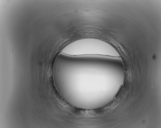 X0000095120517200712070946