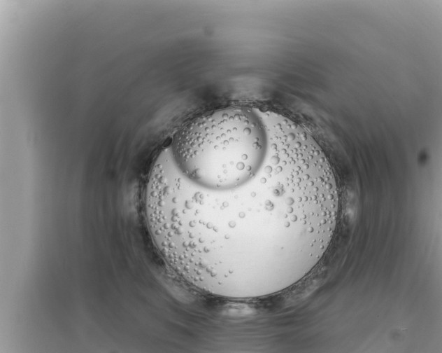 X0000095120519200712070946