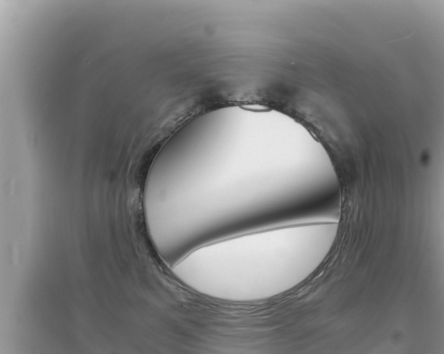 X0000095120521200712070946