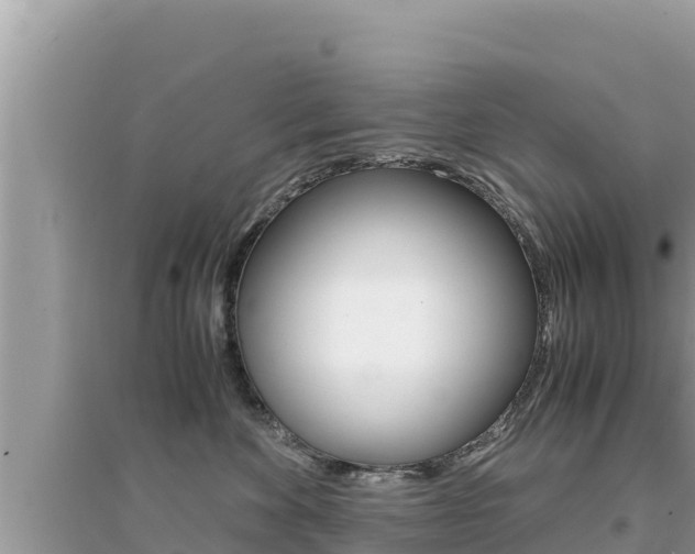 X0000095120524200712070946