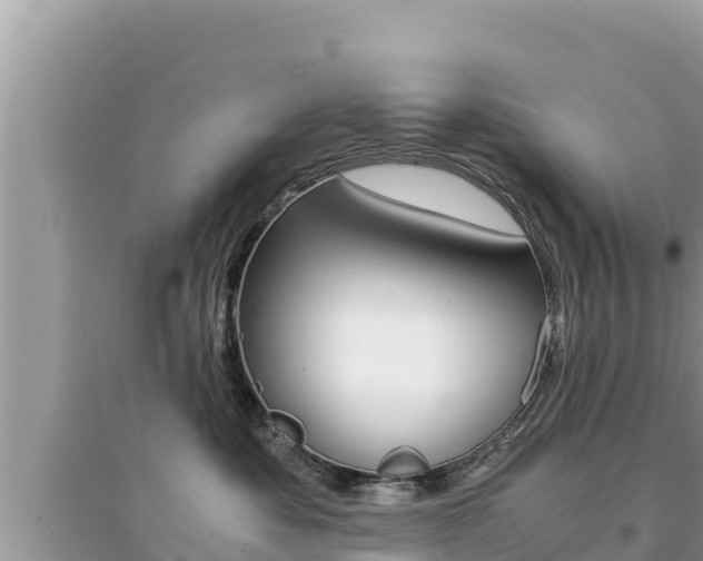 X0000095120525200712070946