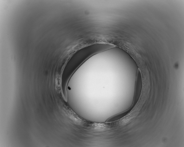 X0000095120528200712070946