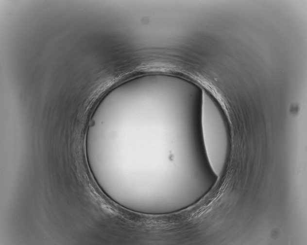 X0000095120529200712070945