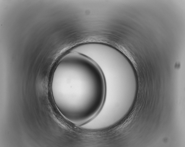 X0000095120530200712070945