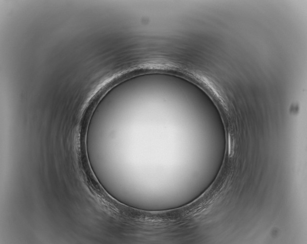 X0000095120531200712070945