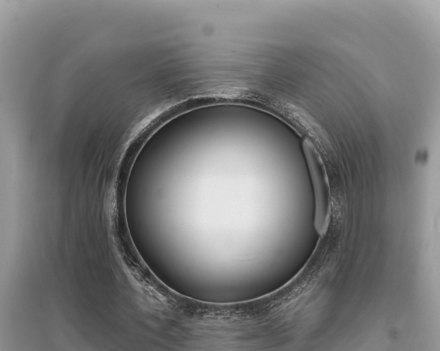 X0000095120532200712070945