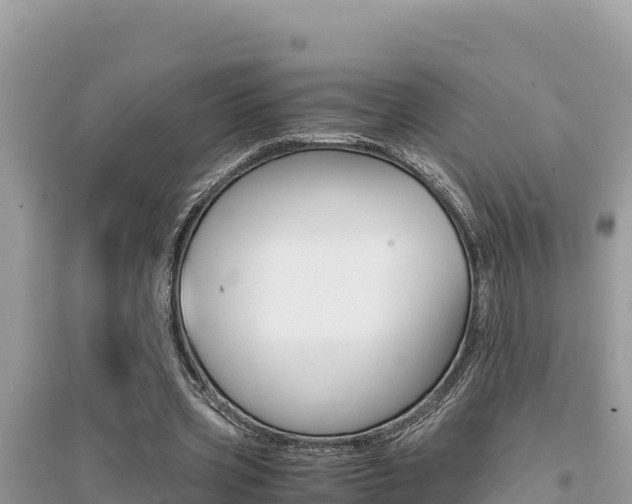 X0000095120533200712070945