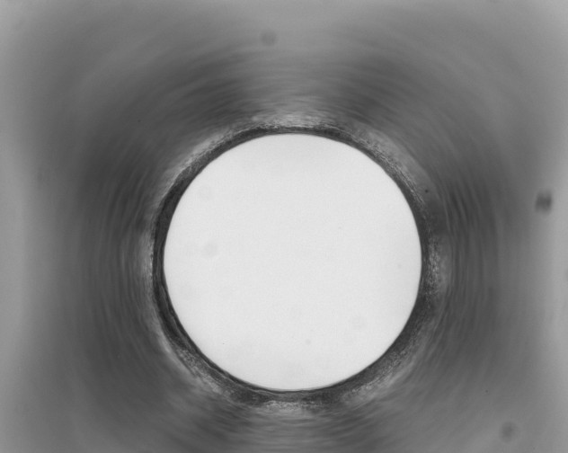 X0000095120534200712070945