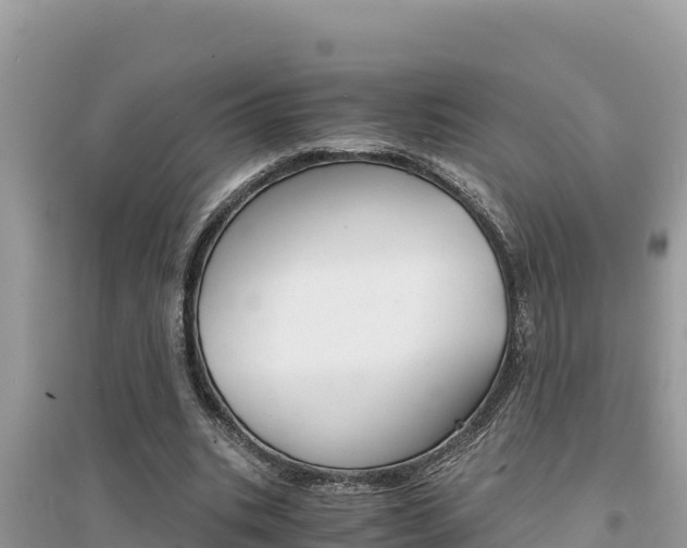 X0000095120535200712070945