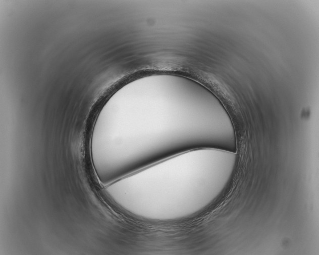 X0000095120536200712070945