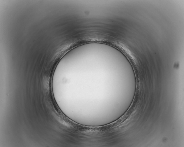 X0000095120537200712070945