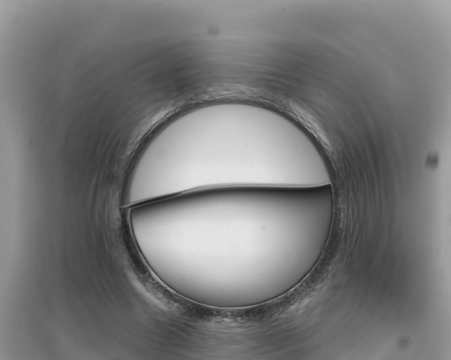 X0000095120538200712070945