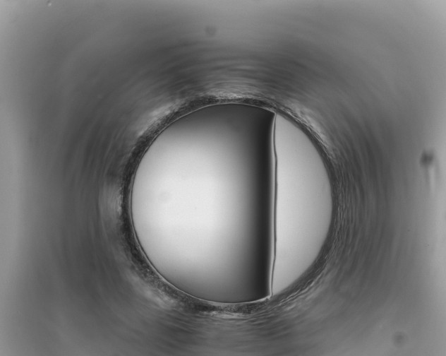 X0000095120539200712070945