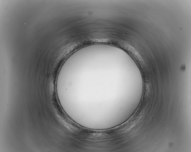 X0000095120541200712070945