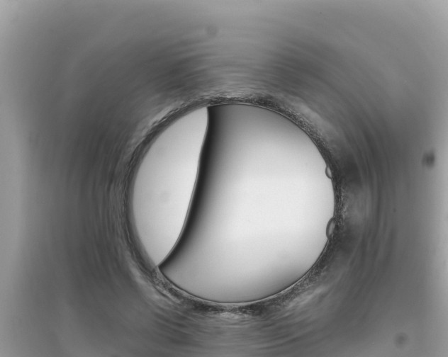 X0000095120542200712070945