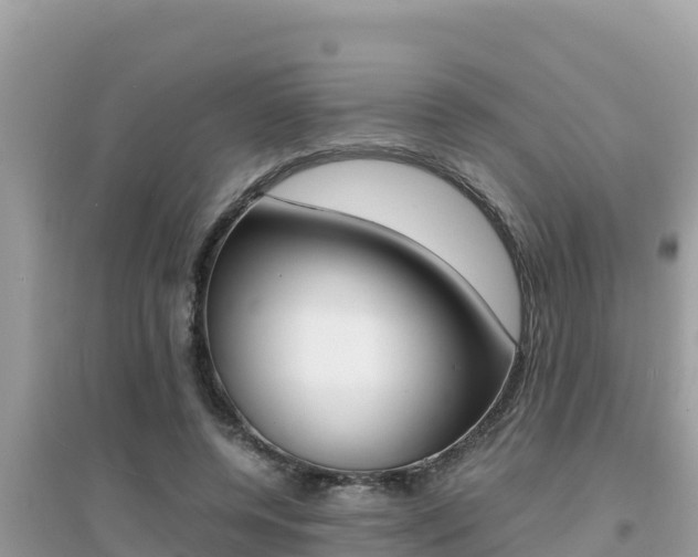 X0000095120544200712070945