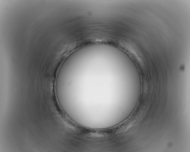 X0000095120545200712070945