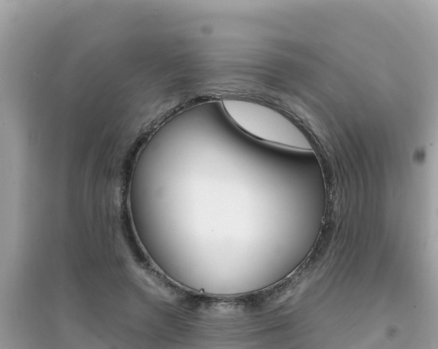X0000095120546200712070945