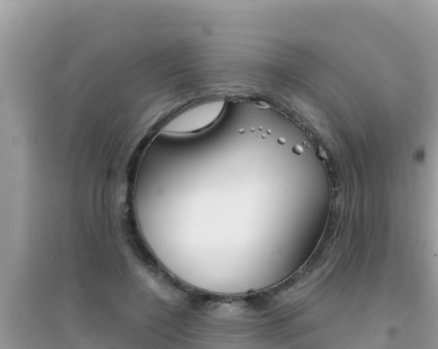 X0000095120548200712070945