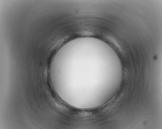 X0000095120549200712070945