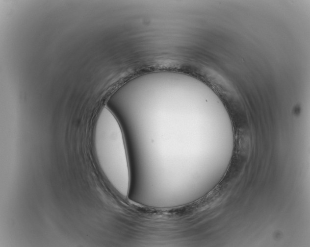 X0000095120550200712070945