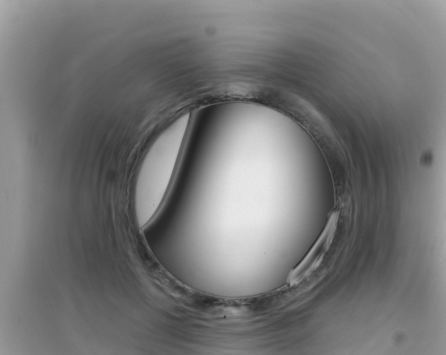 X0000095120552200712070945