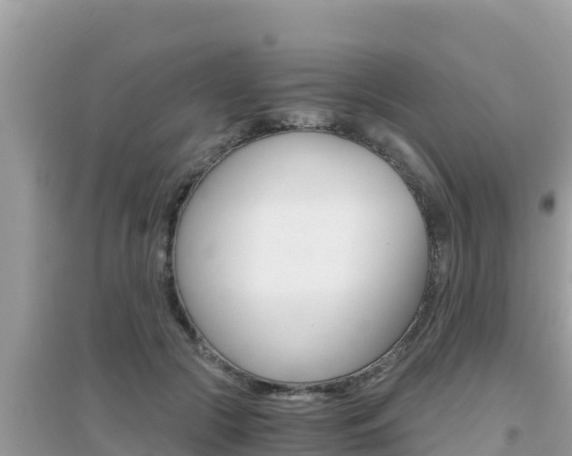 X0000095120553200712070945