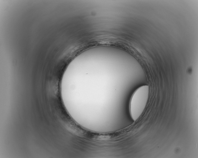 X0000095120554200712070945