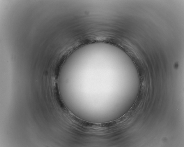 X0000095120555200712070945