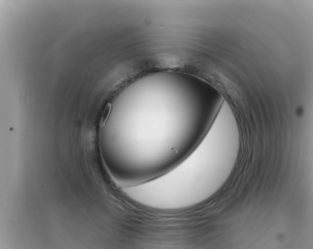 X0000095120556200712070945